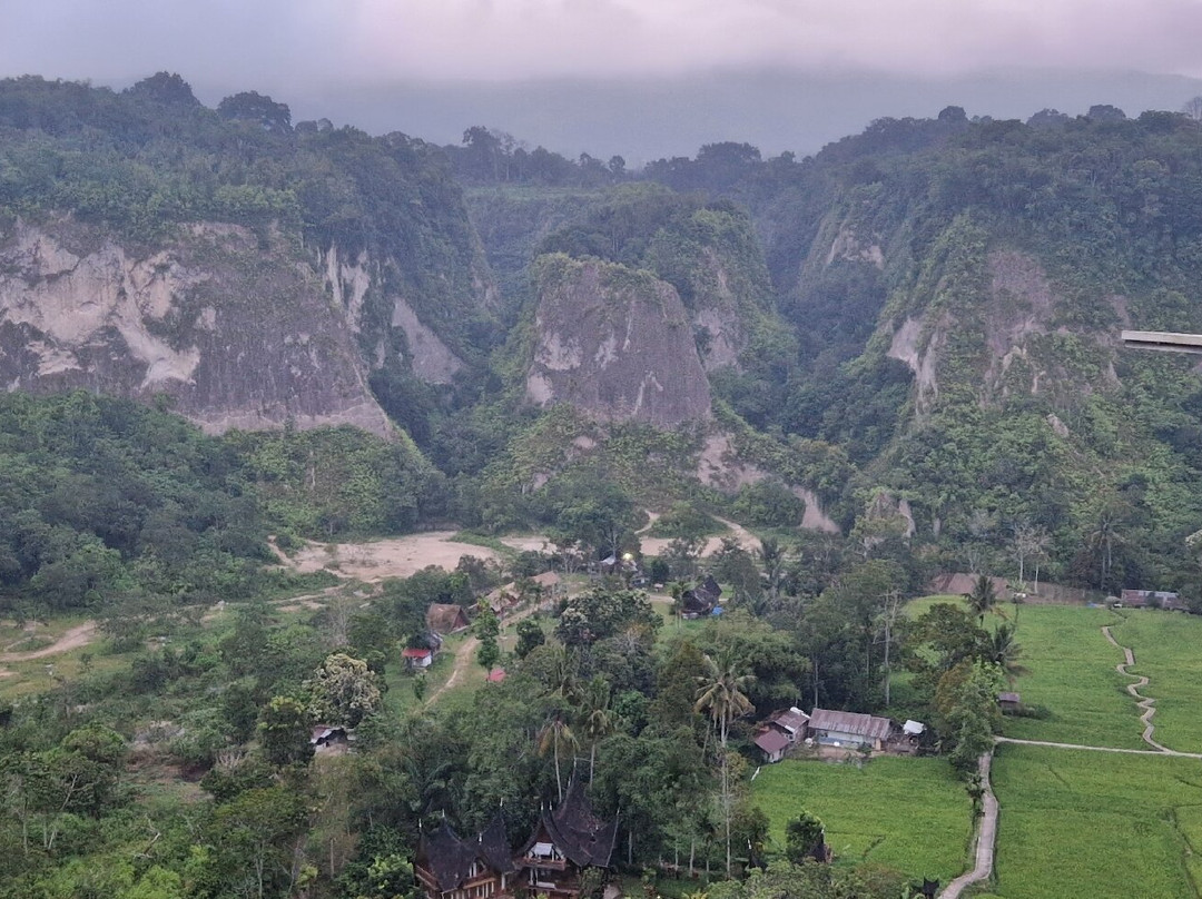 Roni’s Tours -sumatra Tour Guide-武吉丁宜必去景点