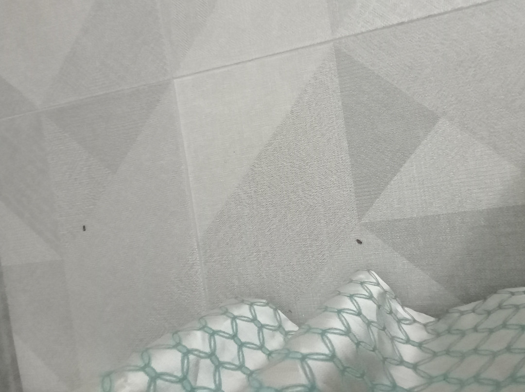 AFION Thermal OTEL主图