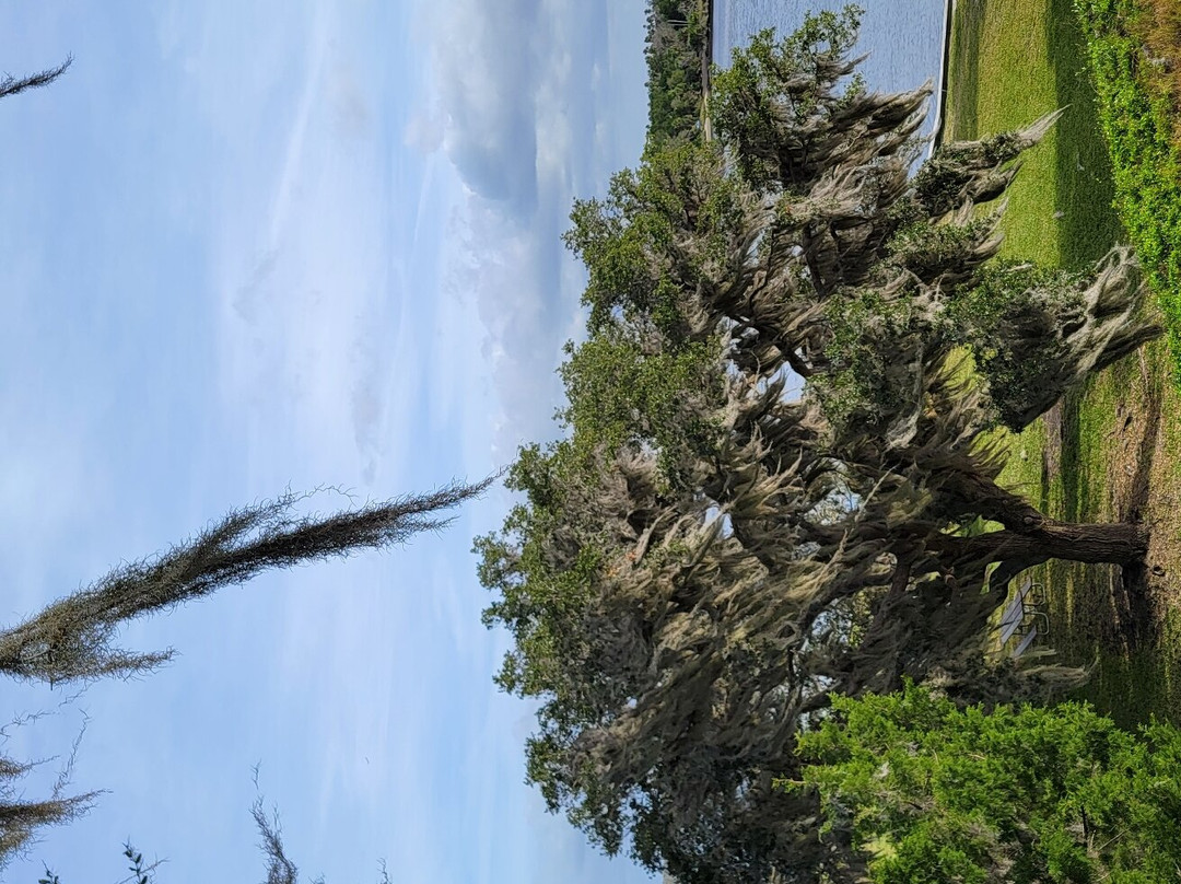 Crystal River Archaeological State Park-克里斯特尔里弗必去景点