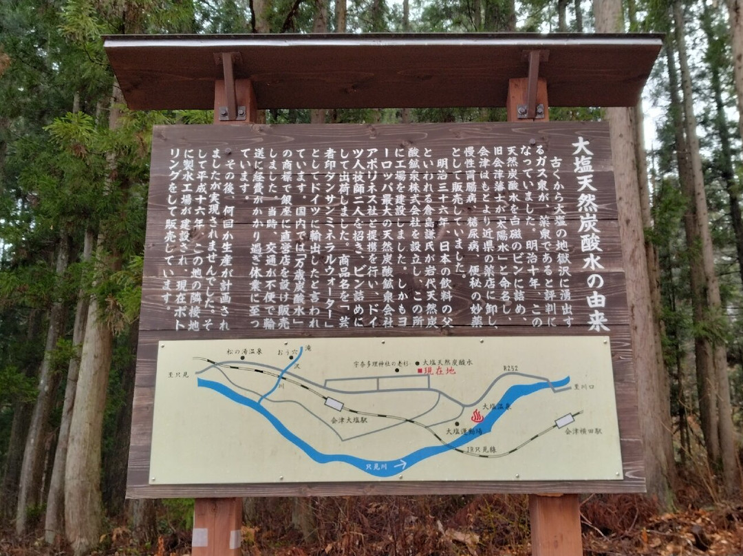Oshio Natural Carbonated Water景点图片
