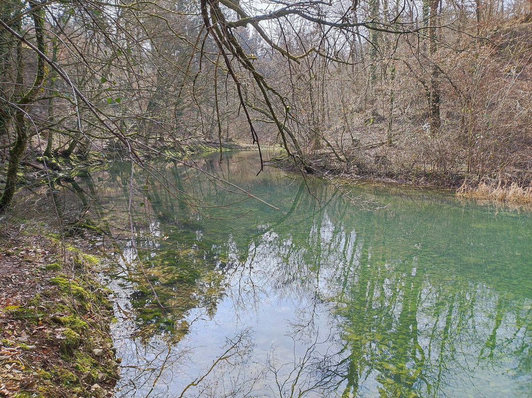 Retovje Springs-Vrhnika必去景点