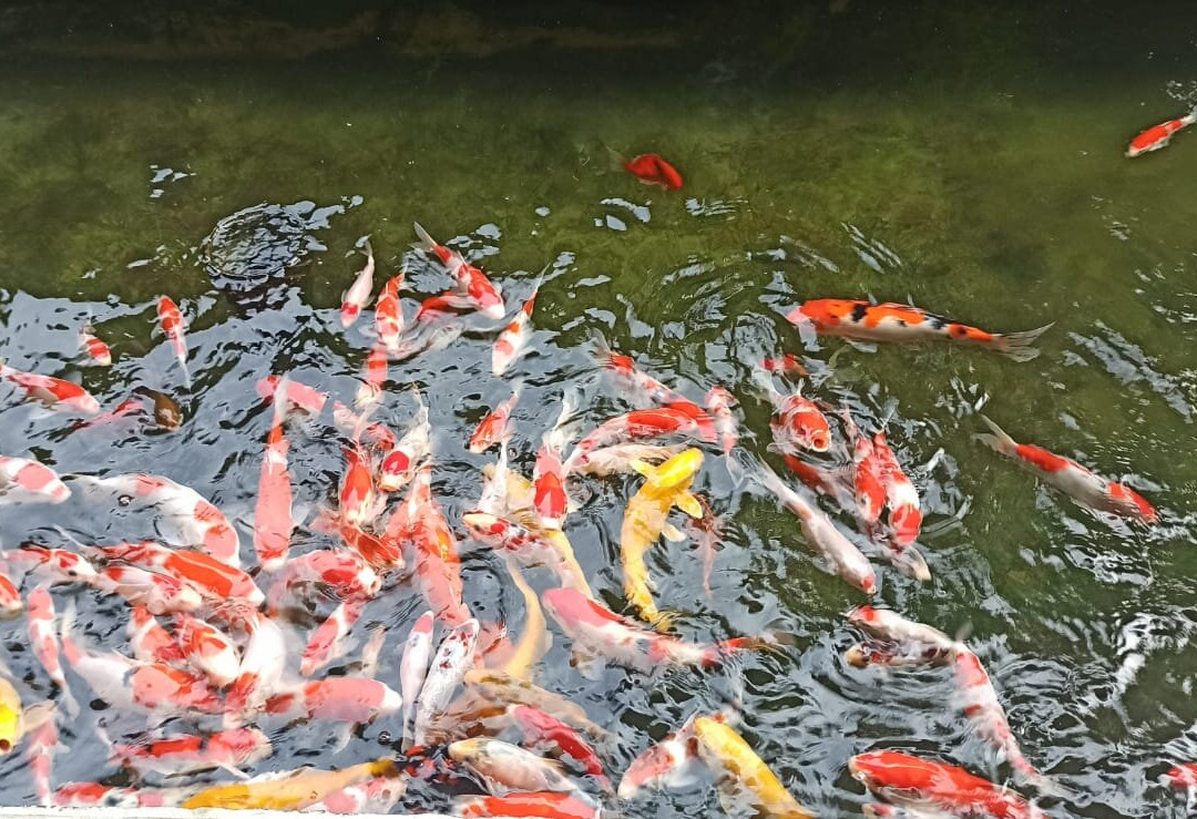 Aston Mojokerto Hotel & Conference Center主图