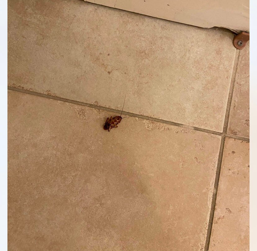 Clairfont Apartments主图