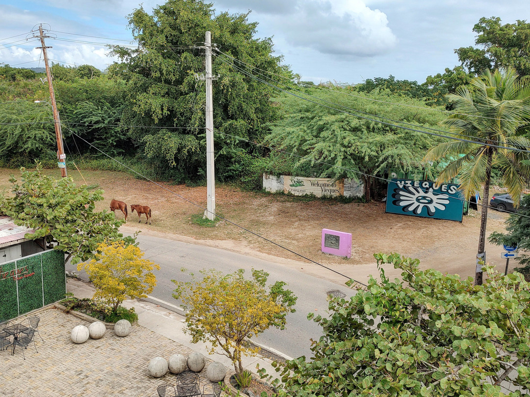 艾尔布洛克酒店主图