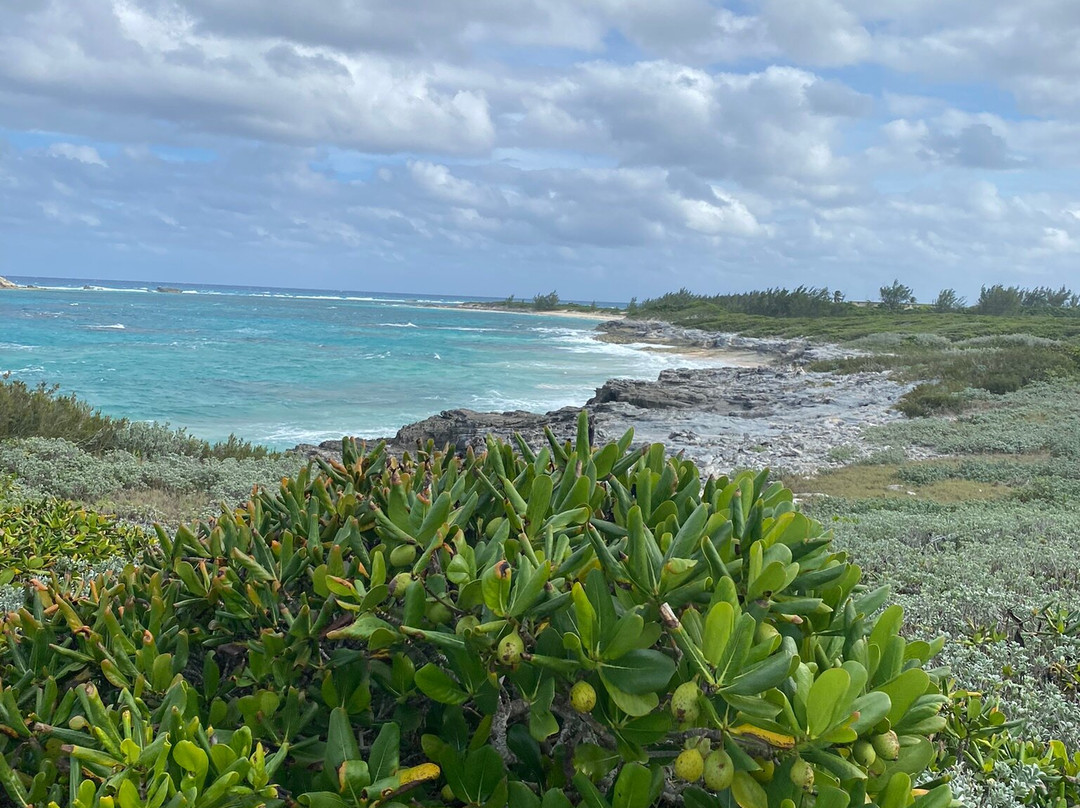 North Point-San Salvador必去景点