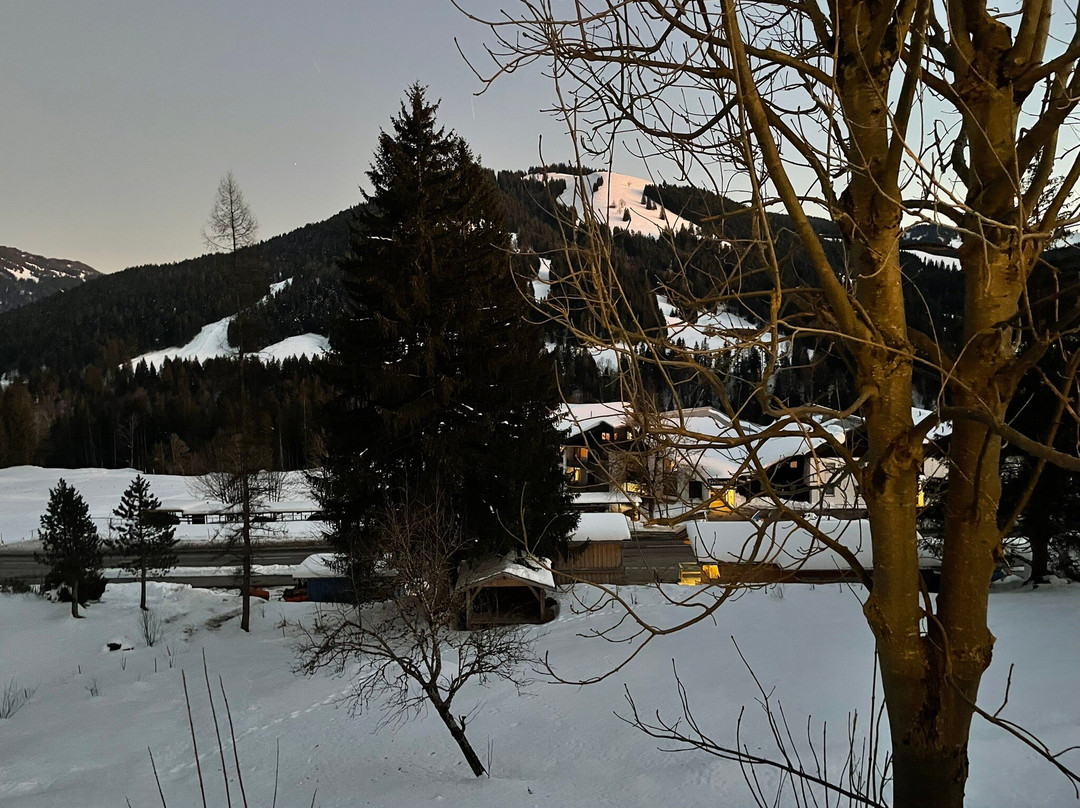 Berghotel Ifenblick主图