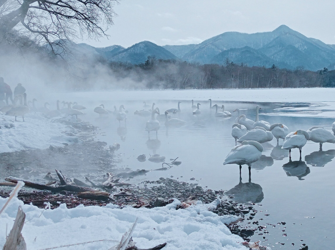 Kotan Onsen-弟子屈町必去景点
