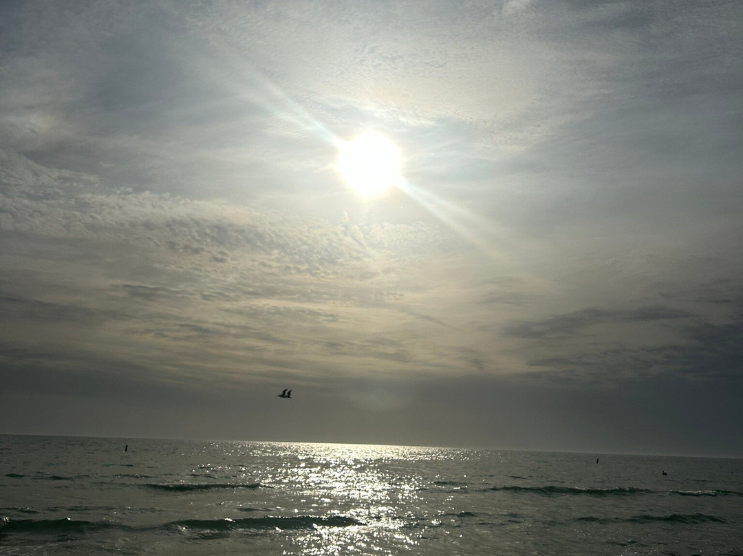 Sea Turtle Bungalows主图