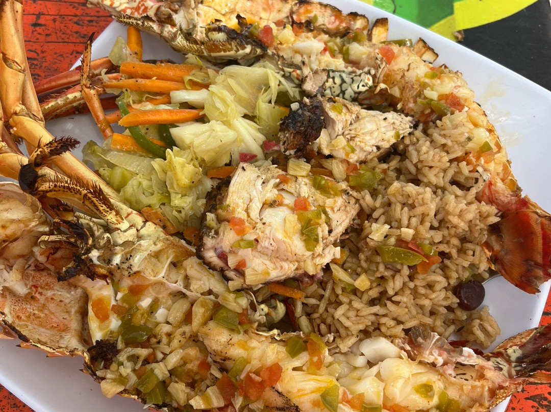 Captain Jace Allen Glass Bottom Boat Tours Negril-内格里尔必去景点