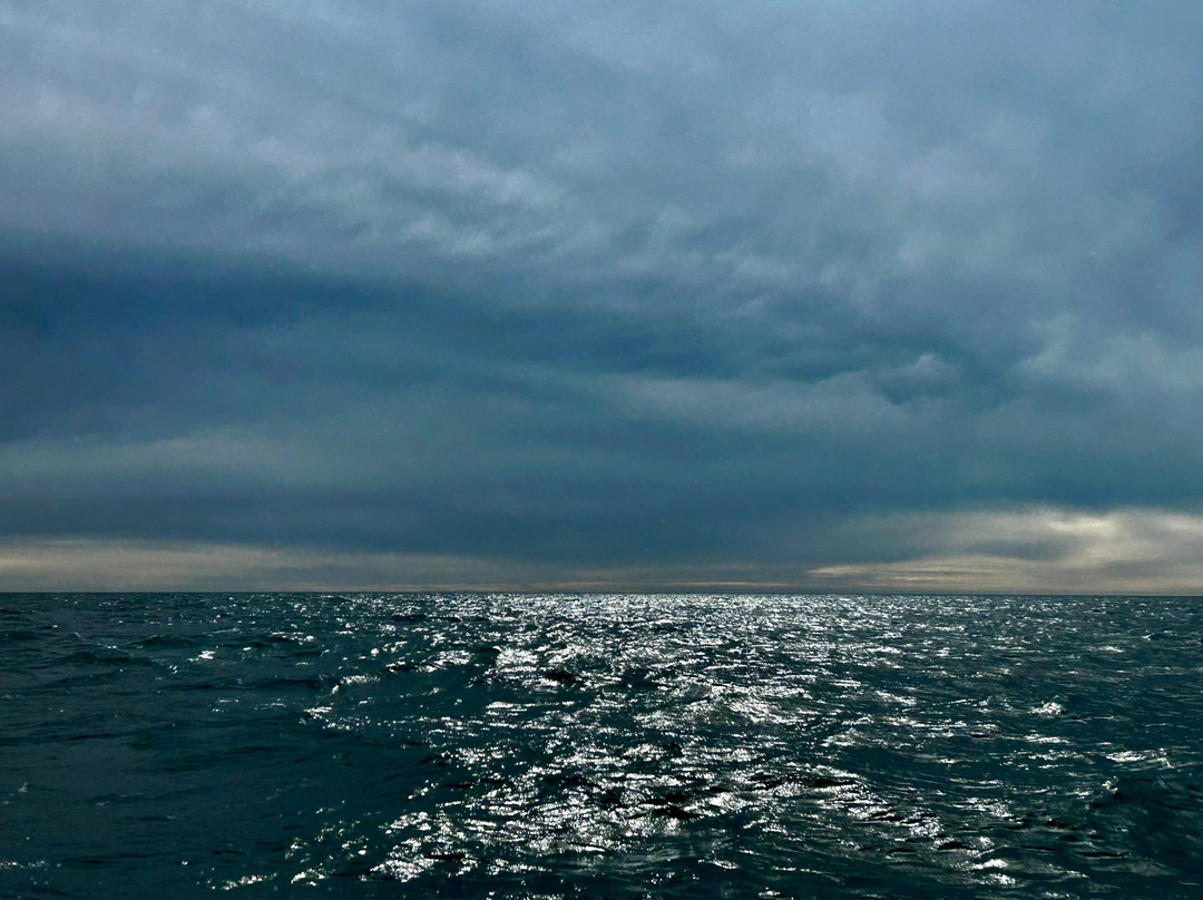 Tiree Sea Tours-Isle of Tiree必去景点