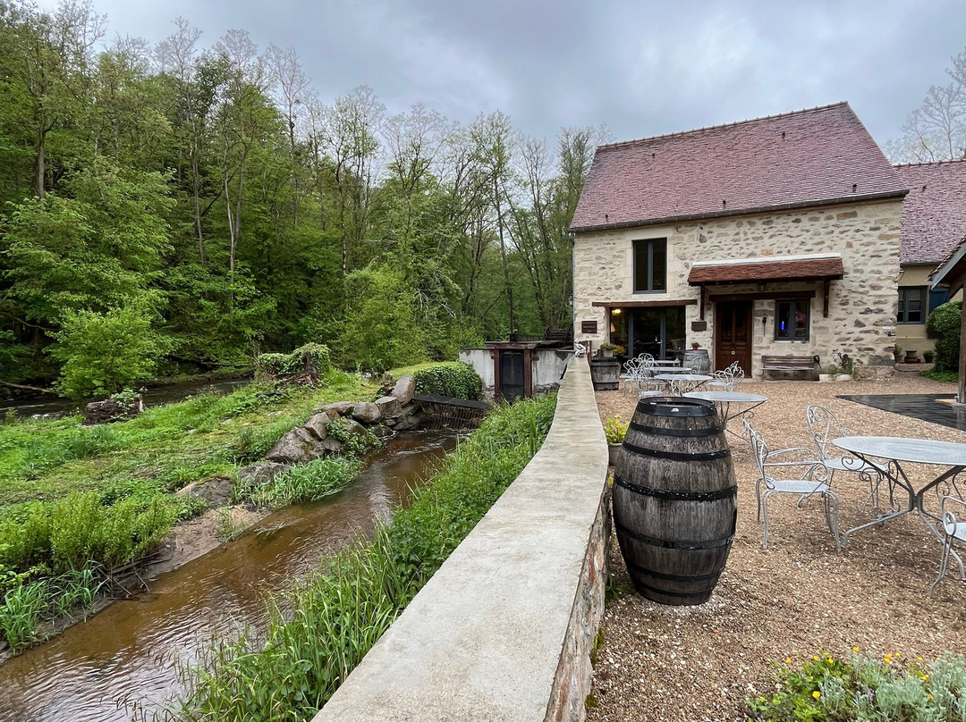 Moulin des Templiers Hôtel & SPA主图