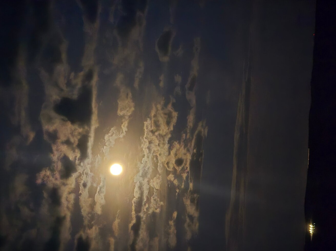 Island Resort & Casino主图