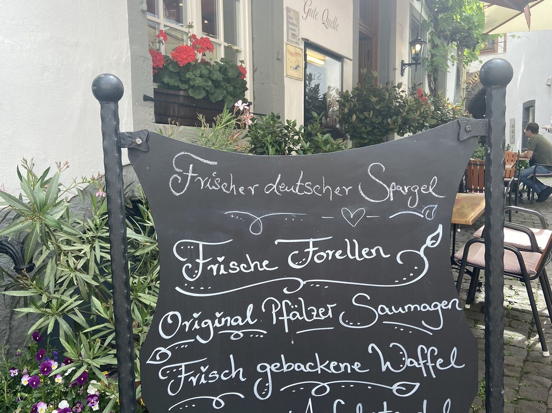 Hotel Gute Quelle主图