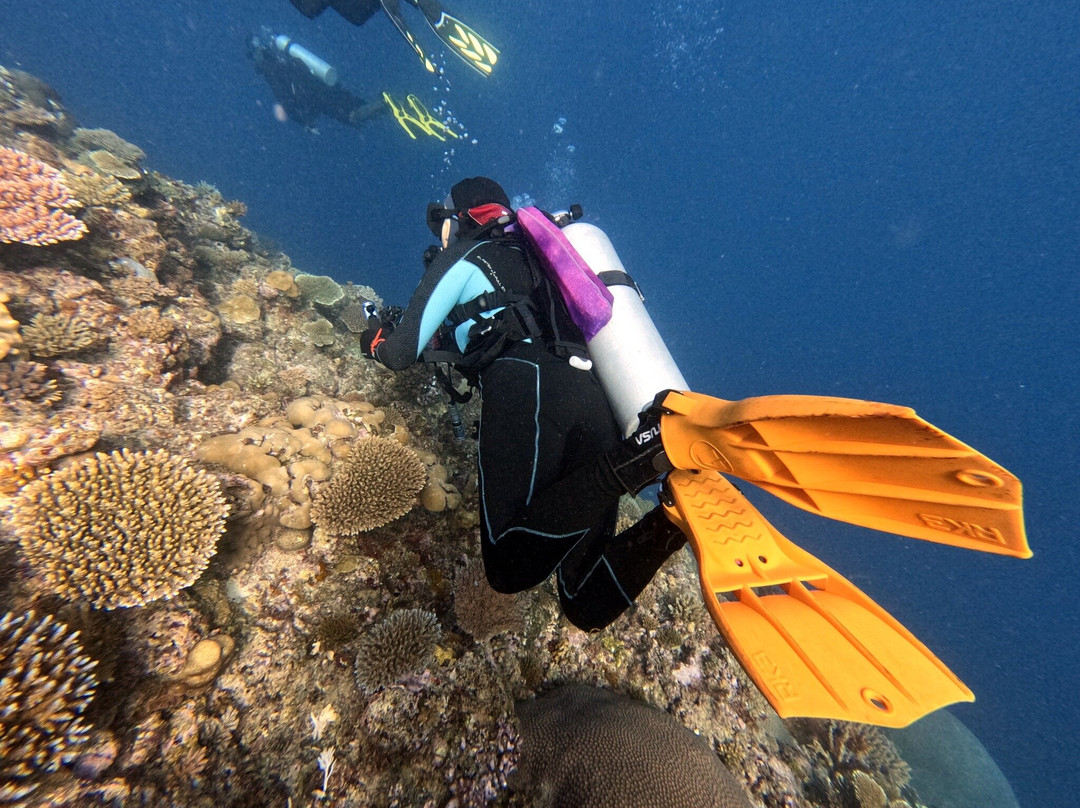 Deep Blue Diving & Watersports @ Matamanoa Island-斐济马塔马诺阿岛必去景点