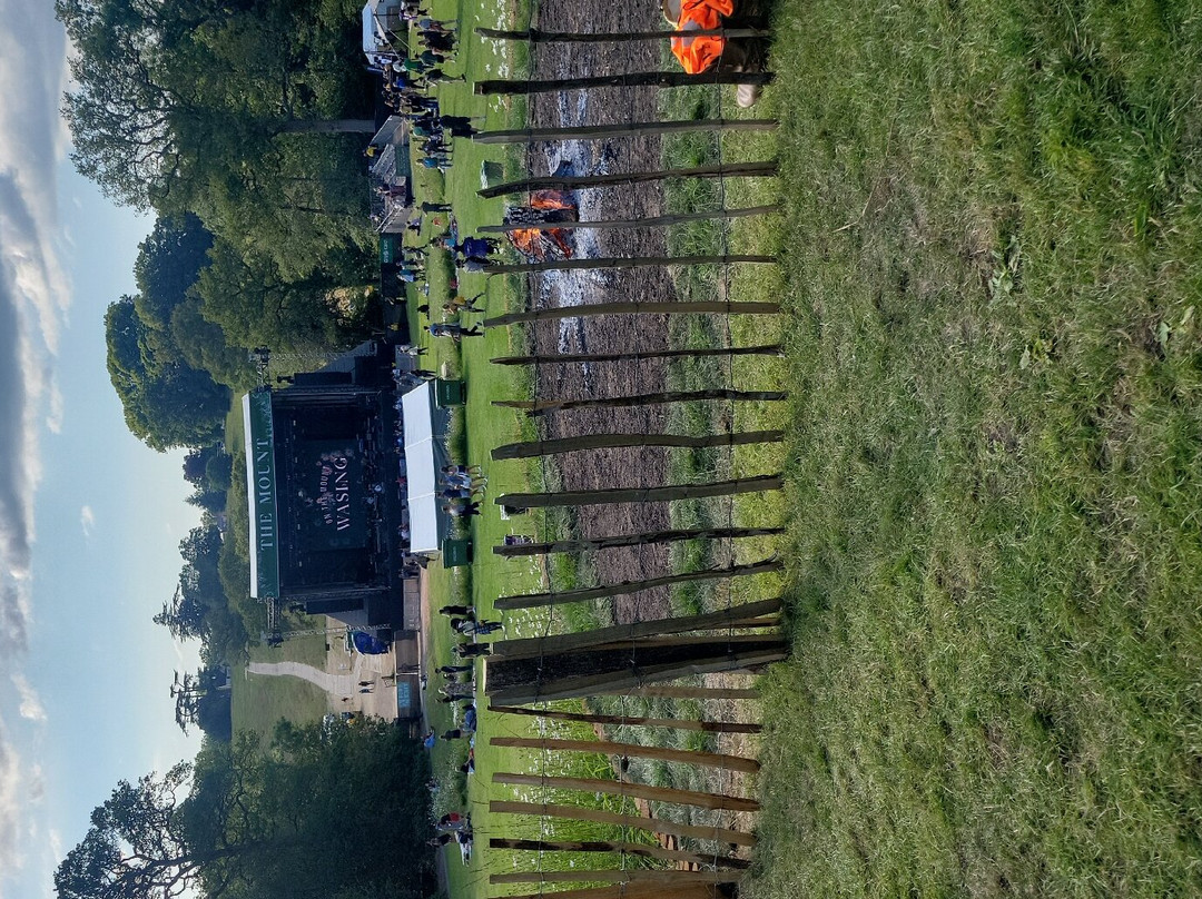 Wasing At The Mount-Wasing必去景点