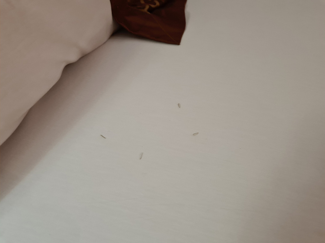 Hotel Golden Tulip Port Harcourt主图