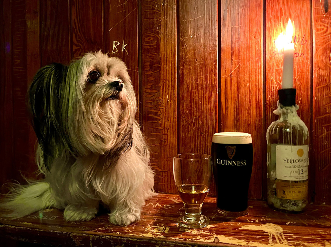 Clarkes Bar-Drogheda必去景点