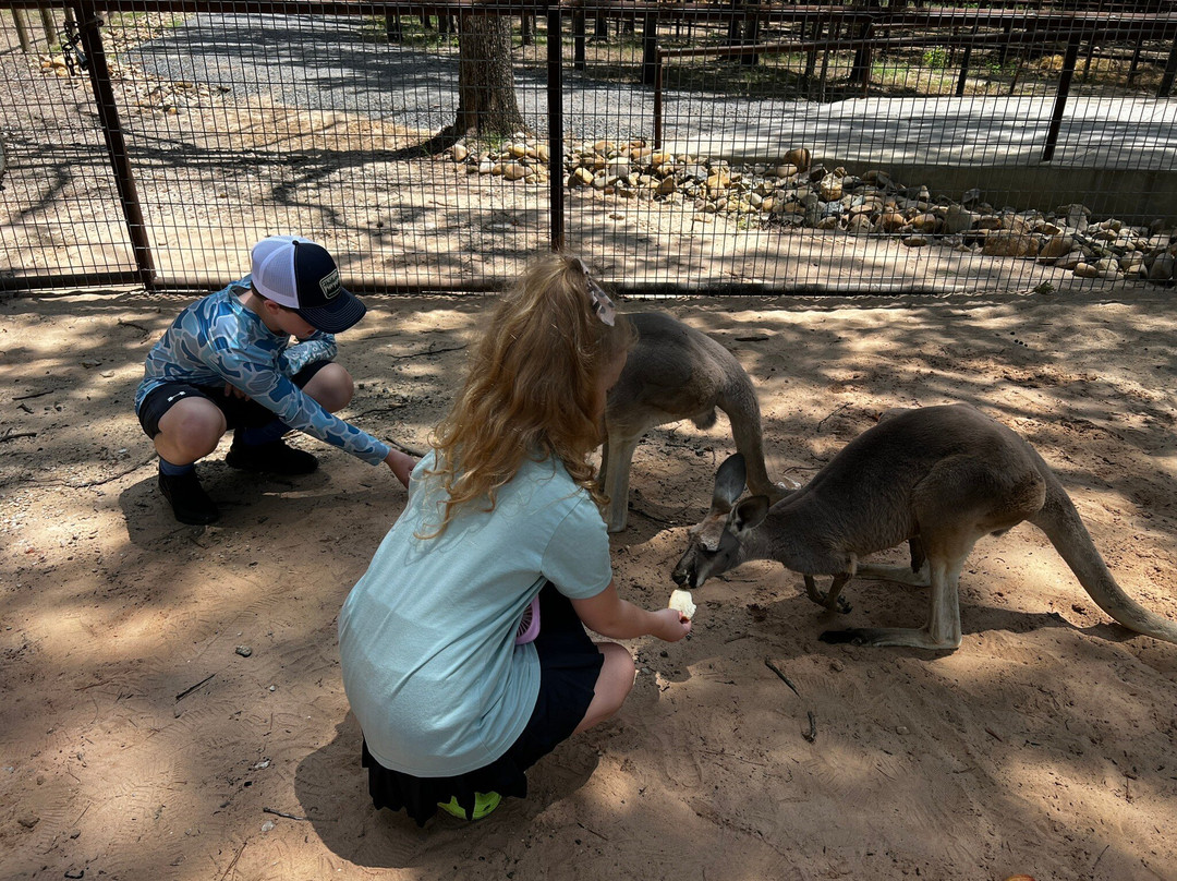 Beavers Bend Safari Park景点图片