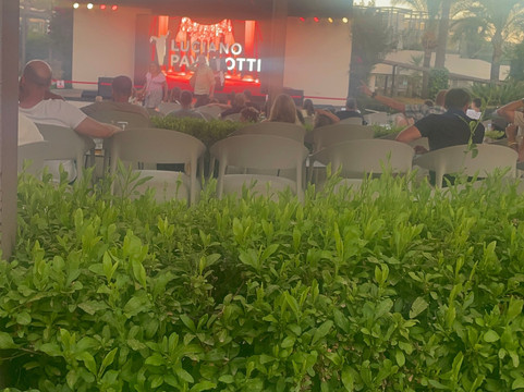 Zafiro Palace Alcudia主图