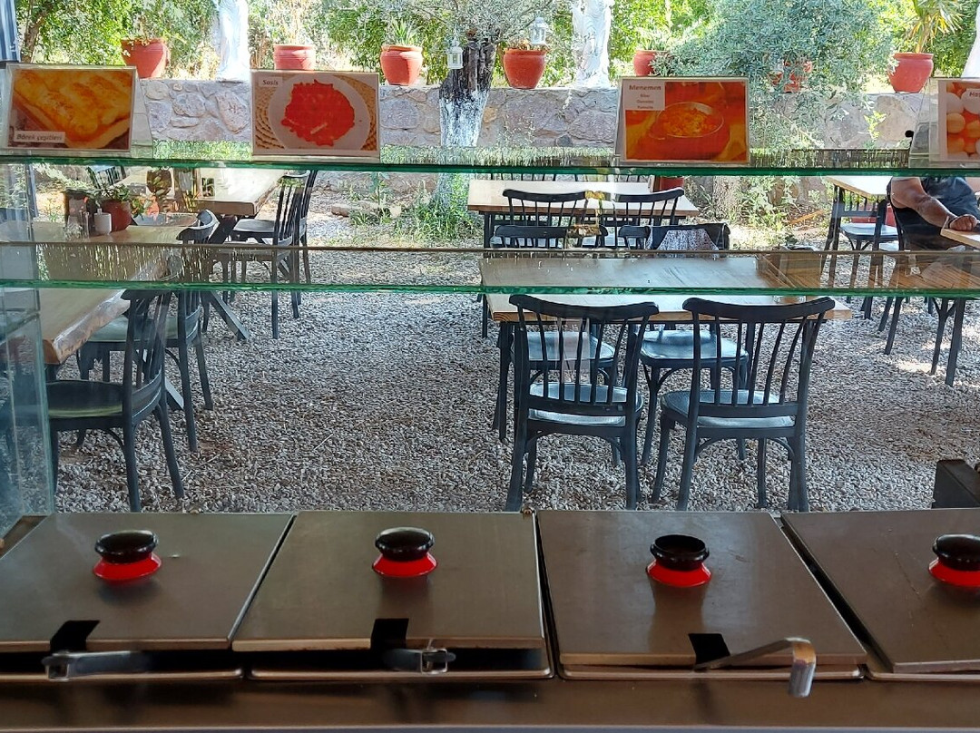 Gaia Tiny Houses Hotel主图