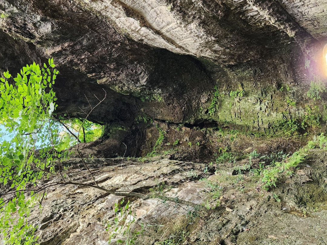 Roaring River State Park-Cassville必去景点