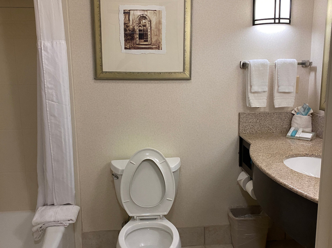 盖恩斯维尔希尔顿花园旅馆主图