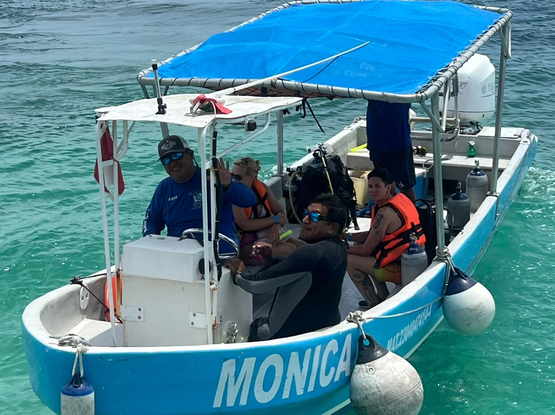 Blue Reef Divers-考祖梅必去景点