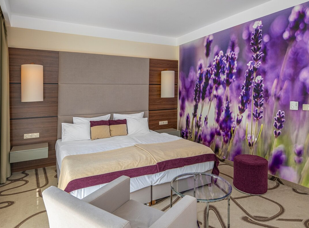 Ambient Hotel & AromaSpa主图