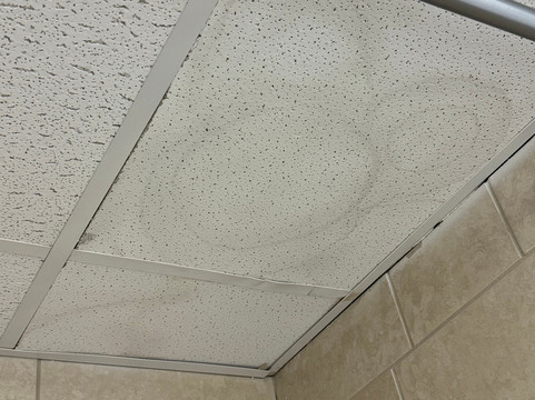 Mt Royal Motel主图