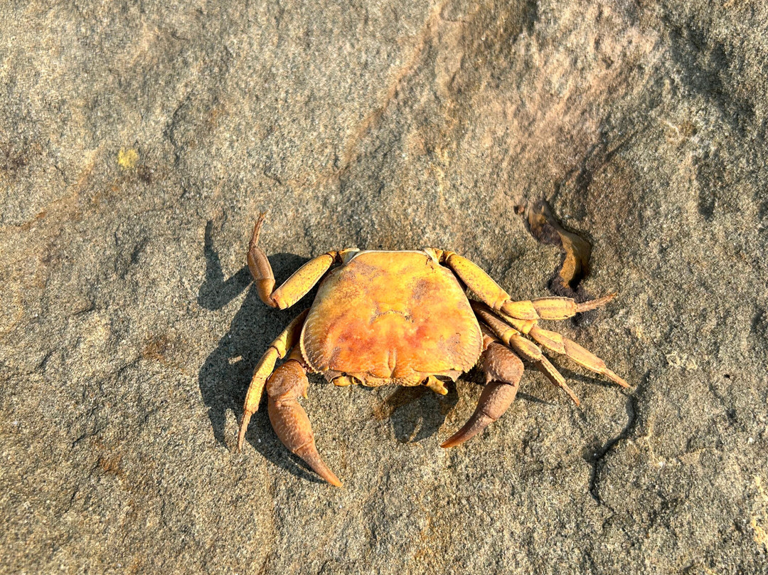 Nila Sand-拉瓦尔品第必去景点