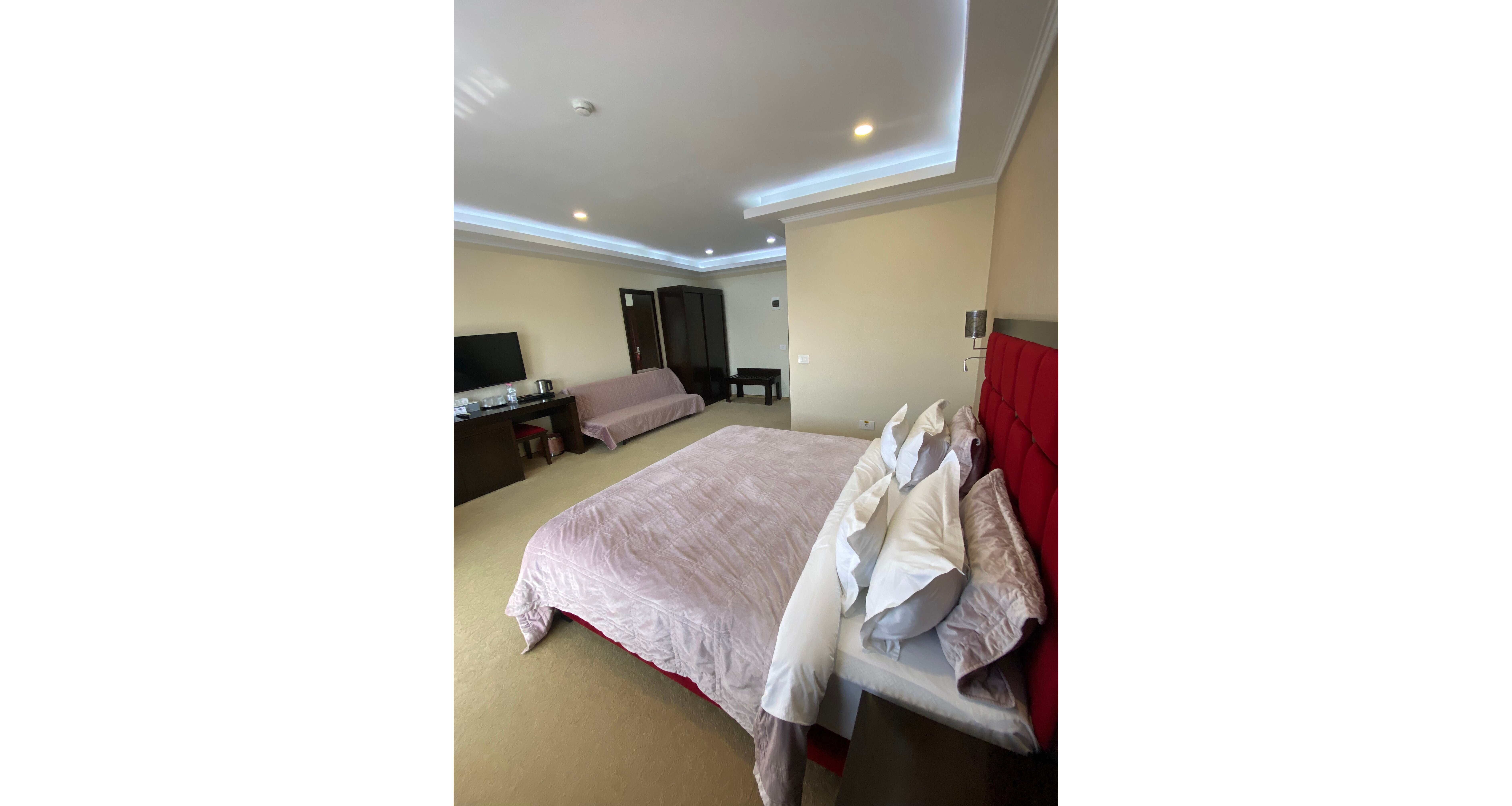 Hotel Terra Iasi-客卧