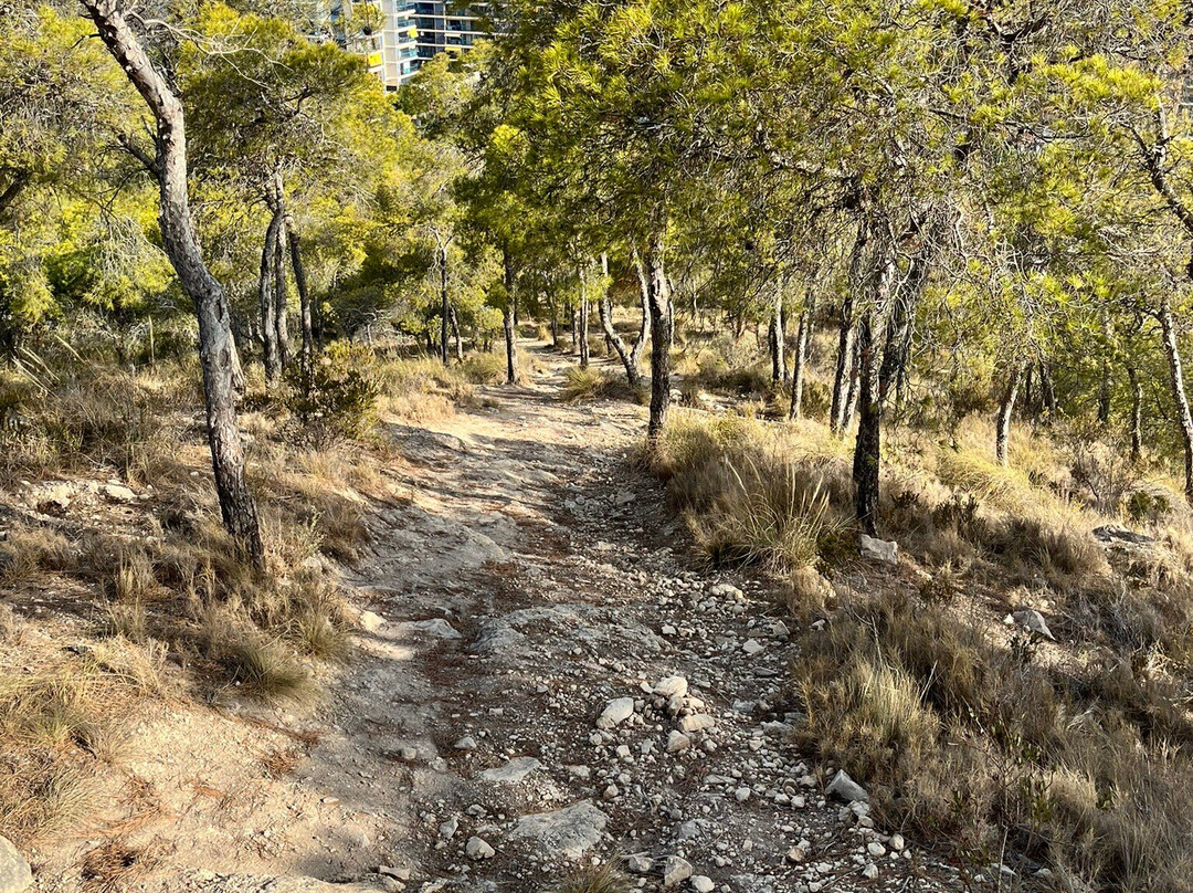 Torre el Aguilo景点图片