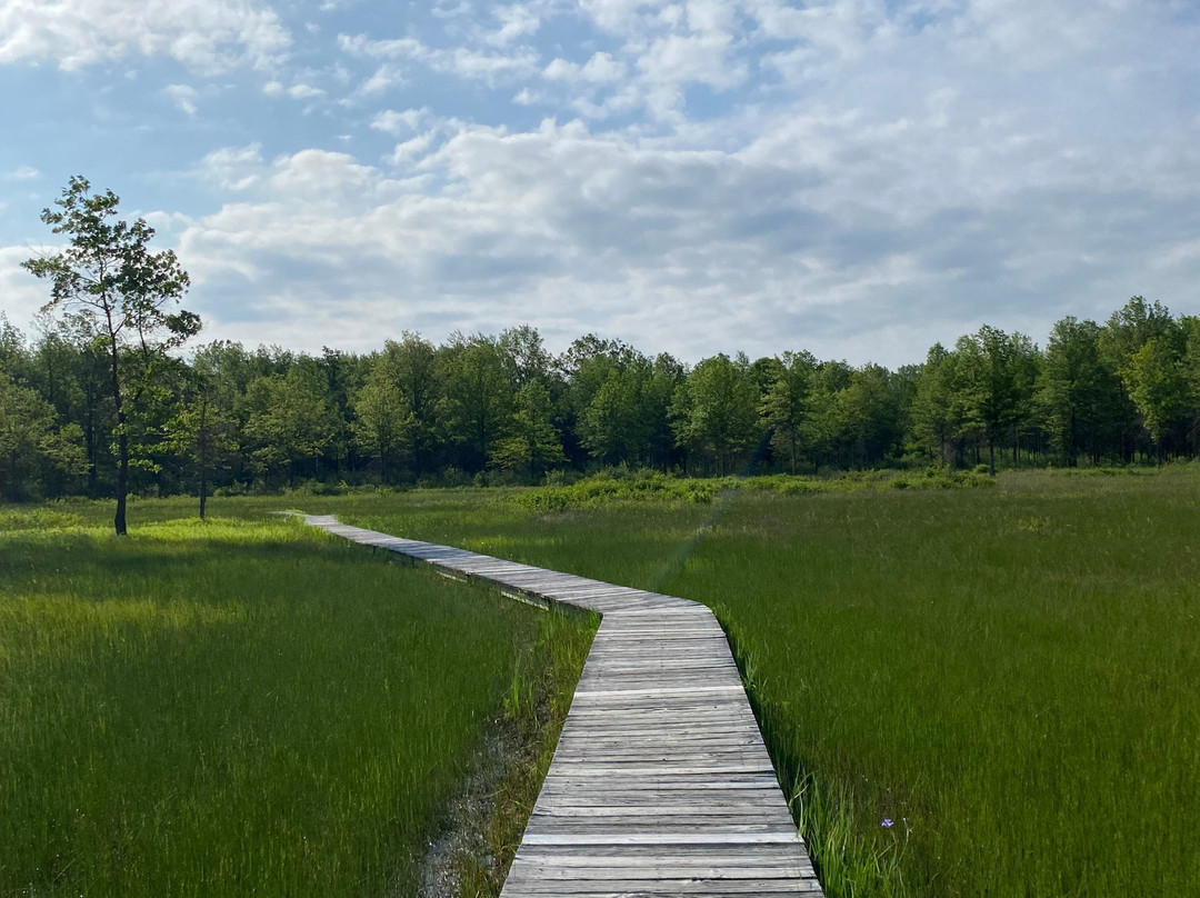 Irwin Prairie State Nature Preserve-托莱多必去景点