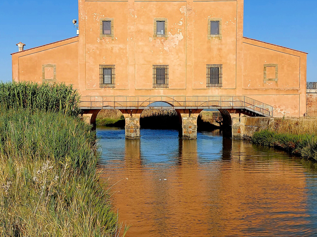 Museo Casa Rossa Ximenes景点图片
