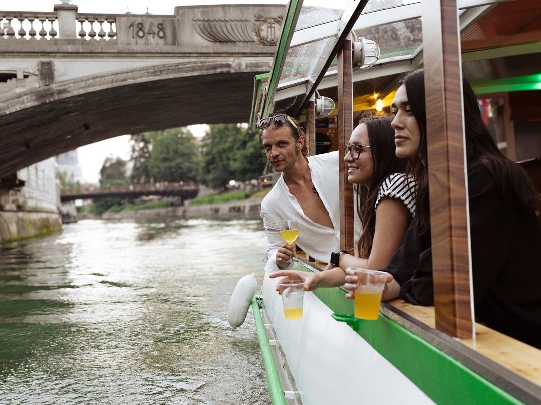 Boat Party Ljubljana景点图片