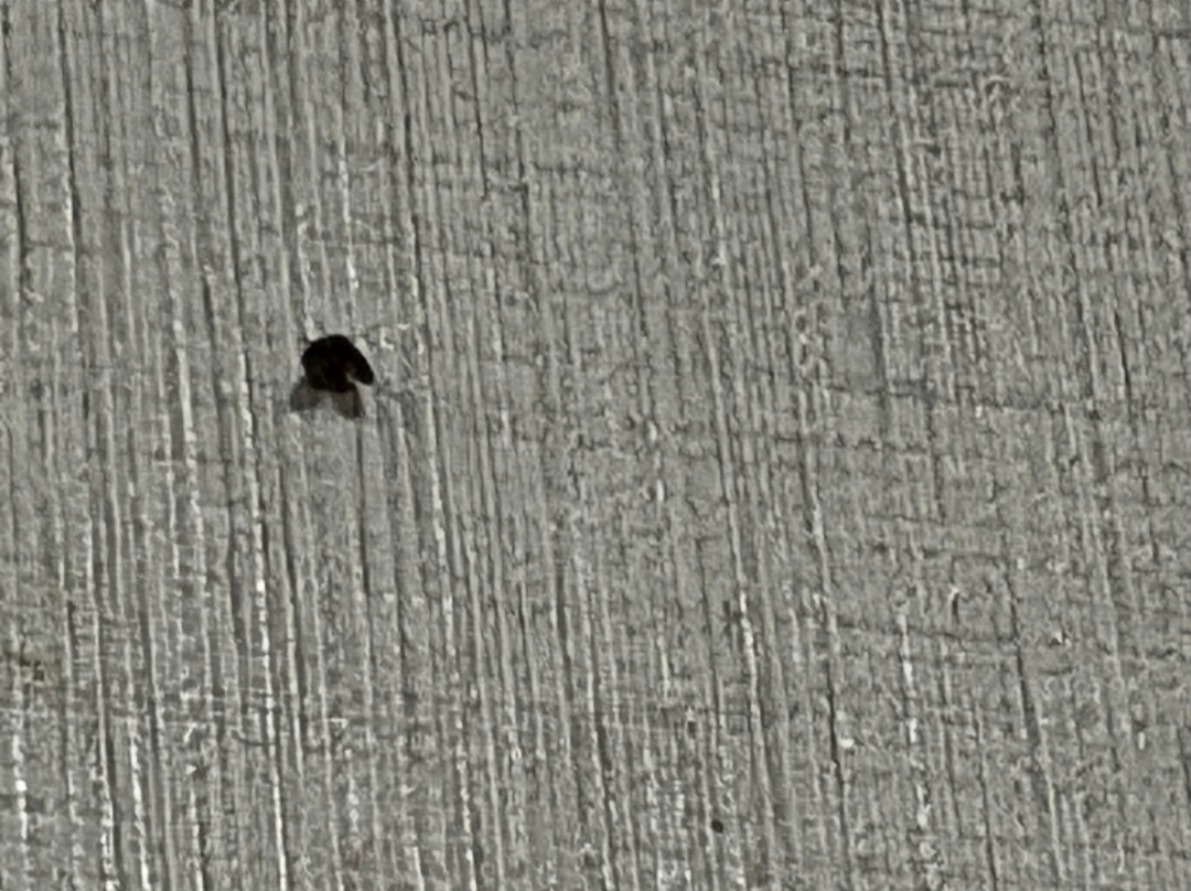 坎布里亚套房酒店主图