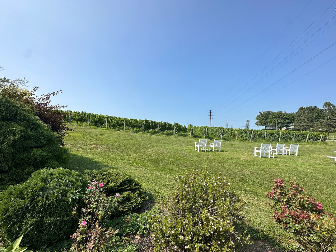 Fero Vineyards and Winery景点图片