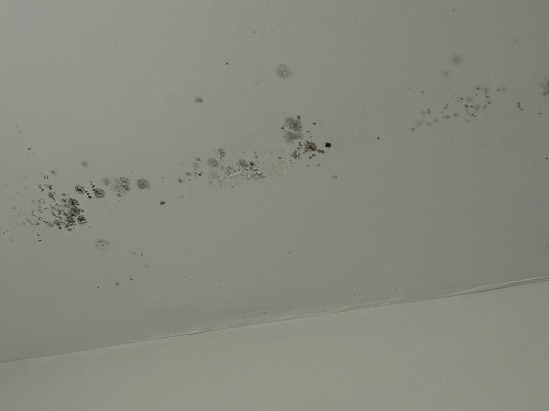 Best Western Plus University Inn主图