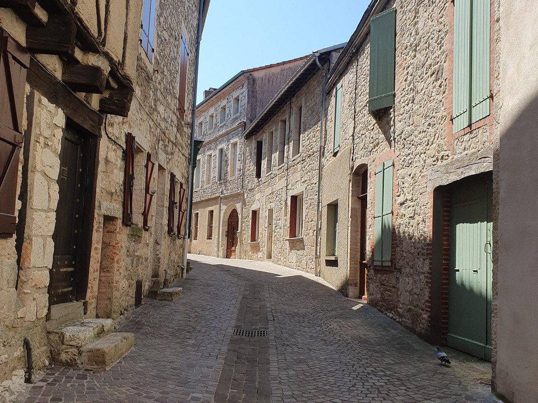 Castelnau-de-Montmiral景点图片