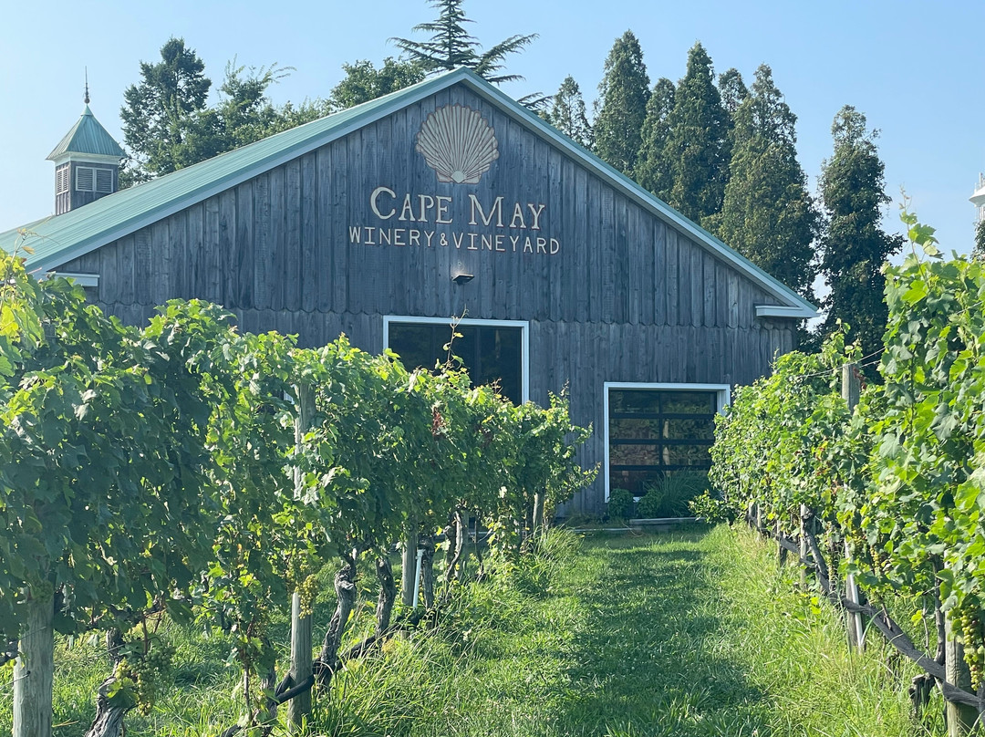 Cape May Winery & Vineyard景点图片
