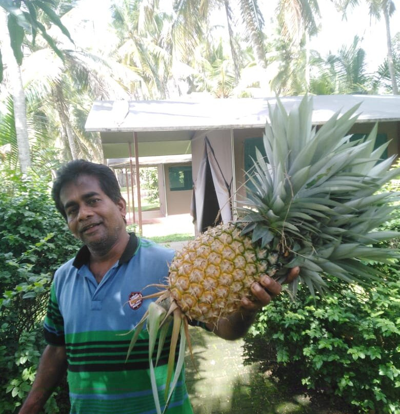 Boutique Tent Resort Nature View主图