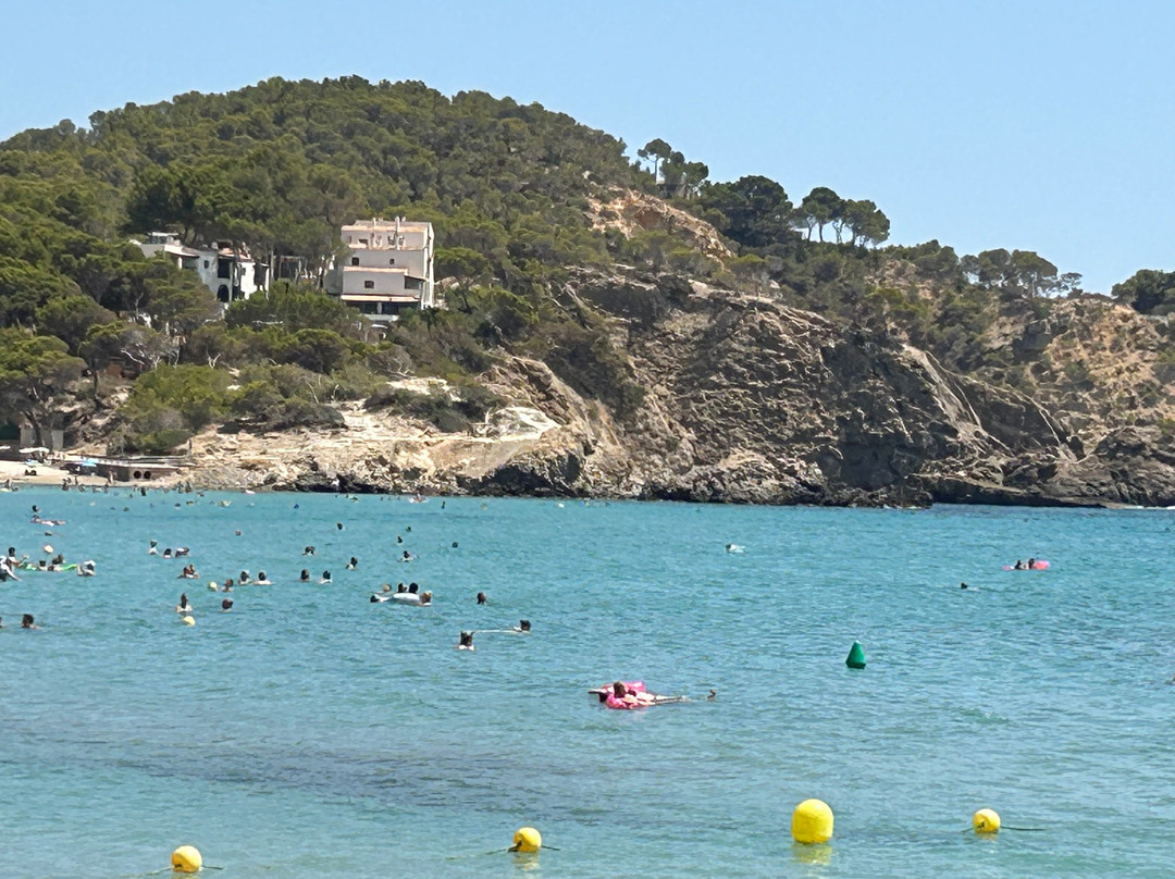 allsun Hotel Paguera Park主图