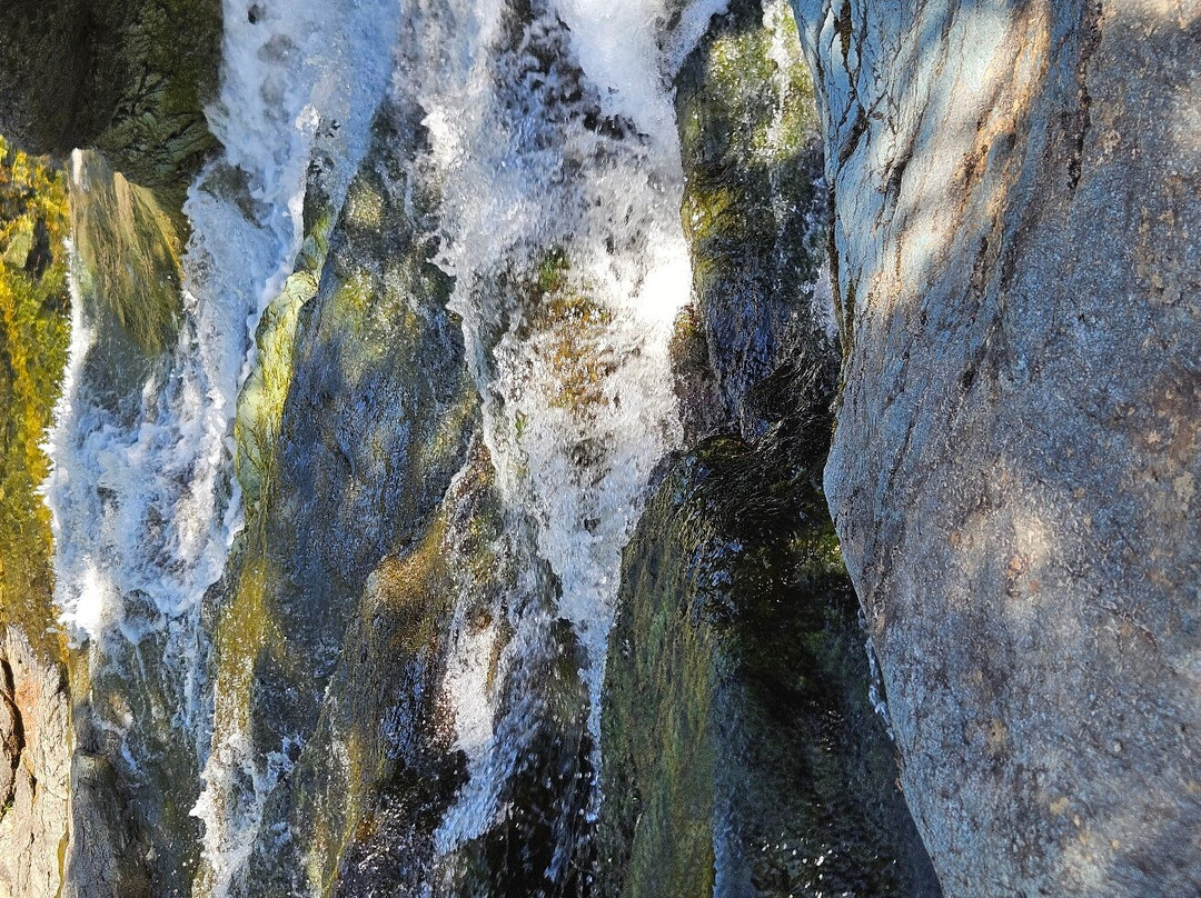 Laverty Falls景点图片