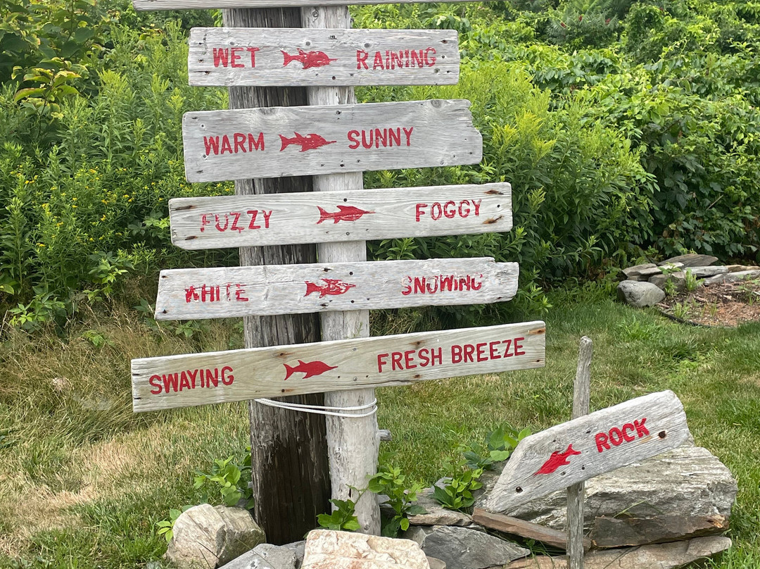 The Inn On Peaks Island主图