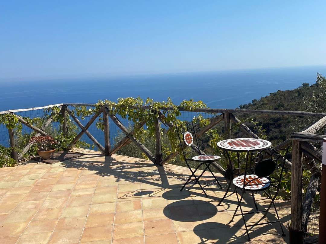 Agriturismo Pattina主图