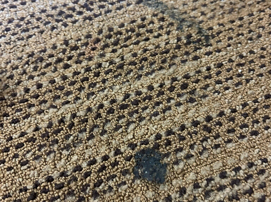 Extended Stay America - Tacoma - South主图