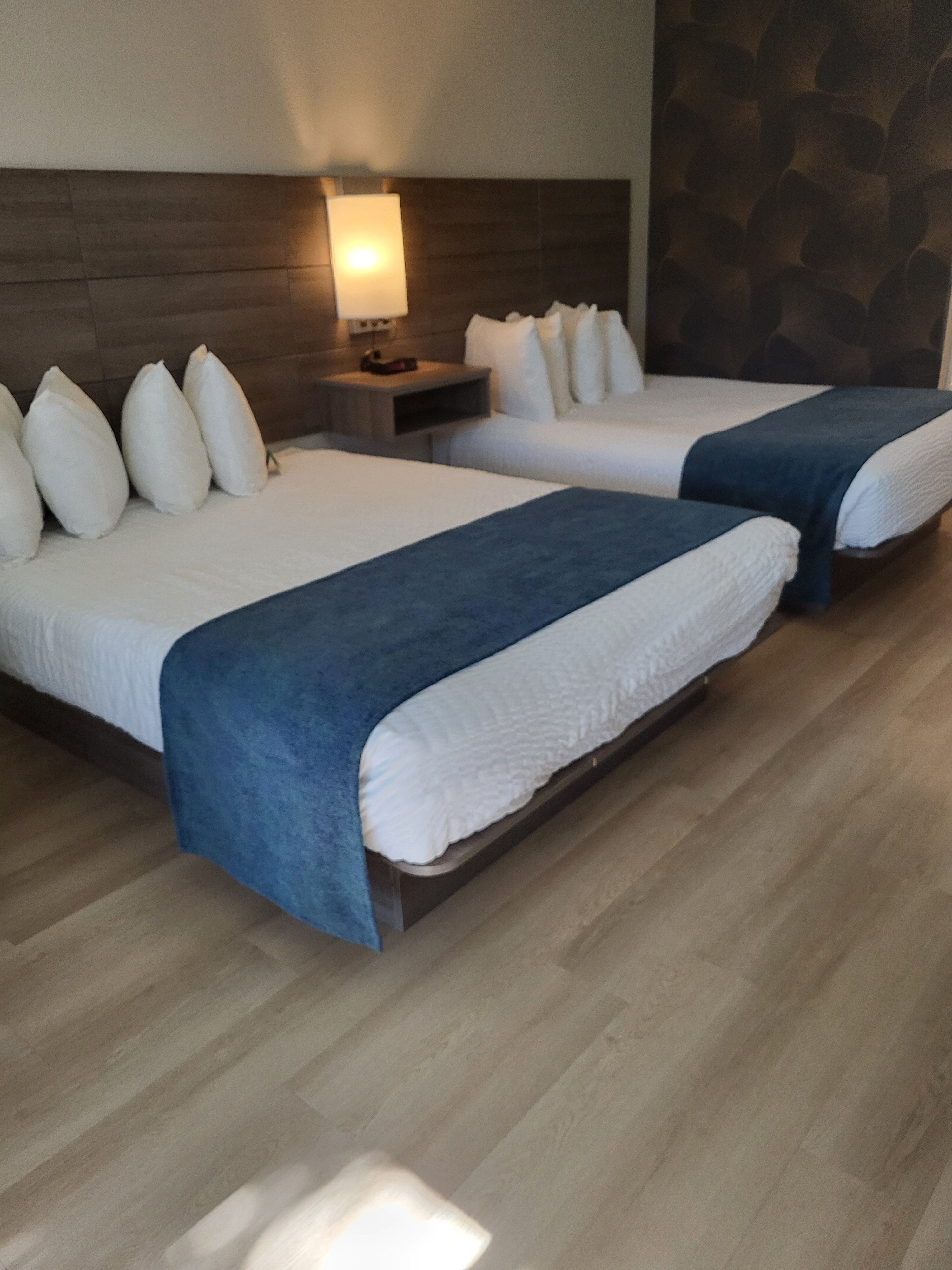 Lewis River Inn-客卧