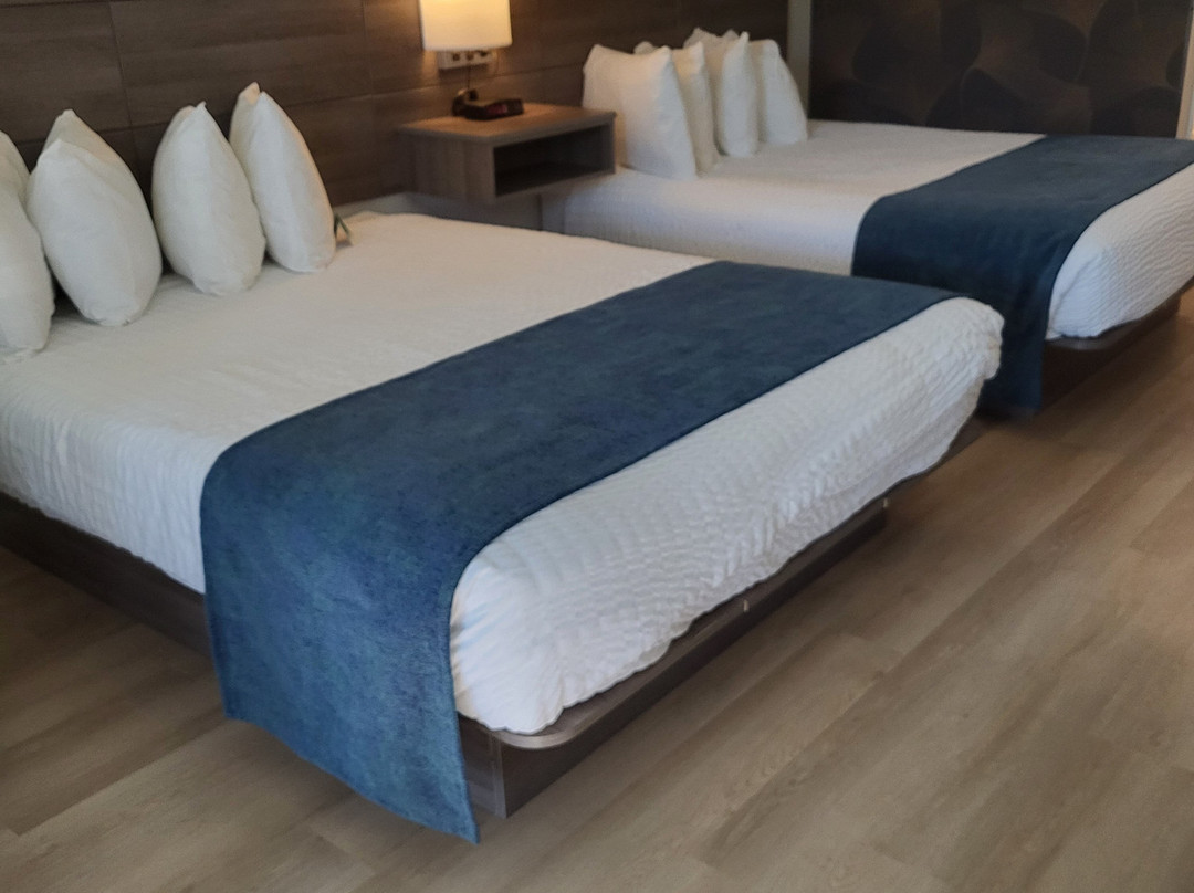 Lewis River Inn主图