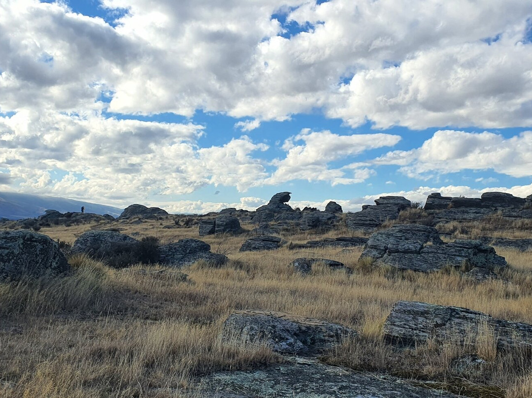 Sutton Salt Lake-Middlemarch必去景点