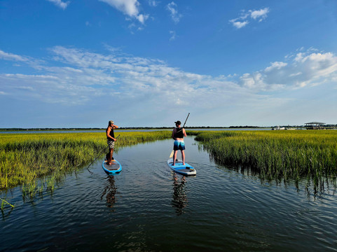 Charleston SUP Safaris-福利比奇必去景点
